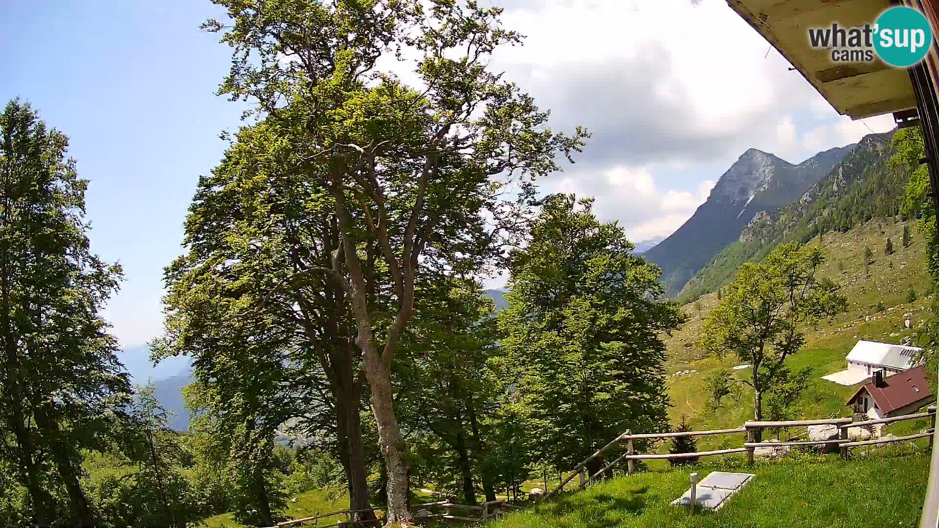 Planina Razor Bergütte Webcam (1315) | Blick auf Tolminski Migovec