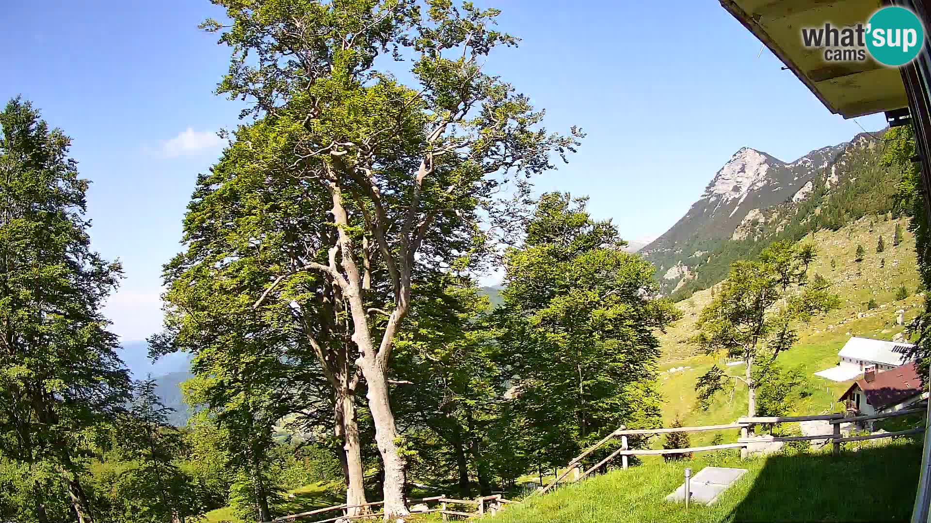 Planina Razor Mountain Hut live cam (1315) | view to Tolminski Migovec