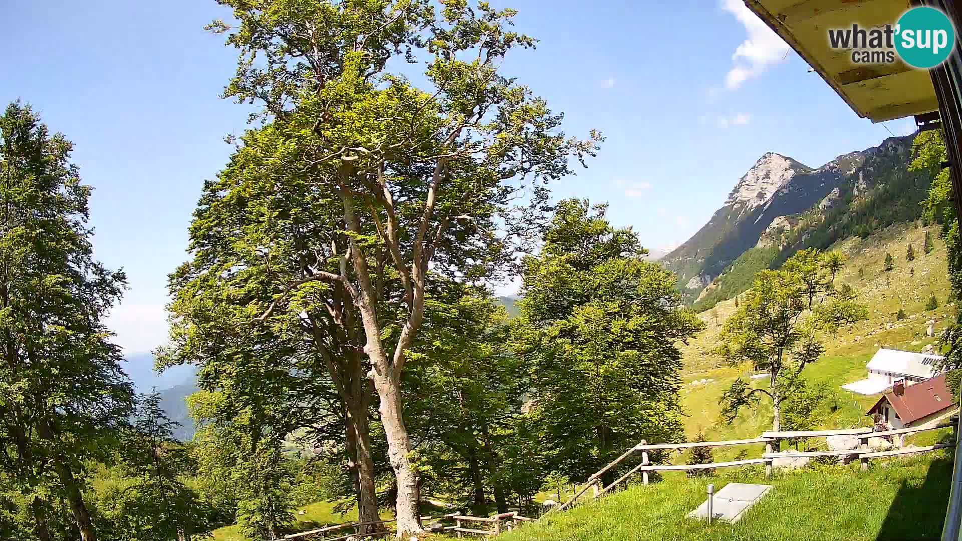 Planina Razor Mountain Hut live cam (1315) | view to Tolminski Migovec