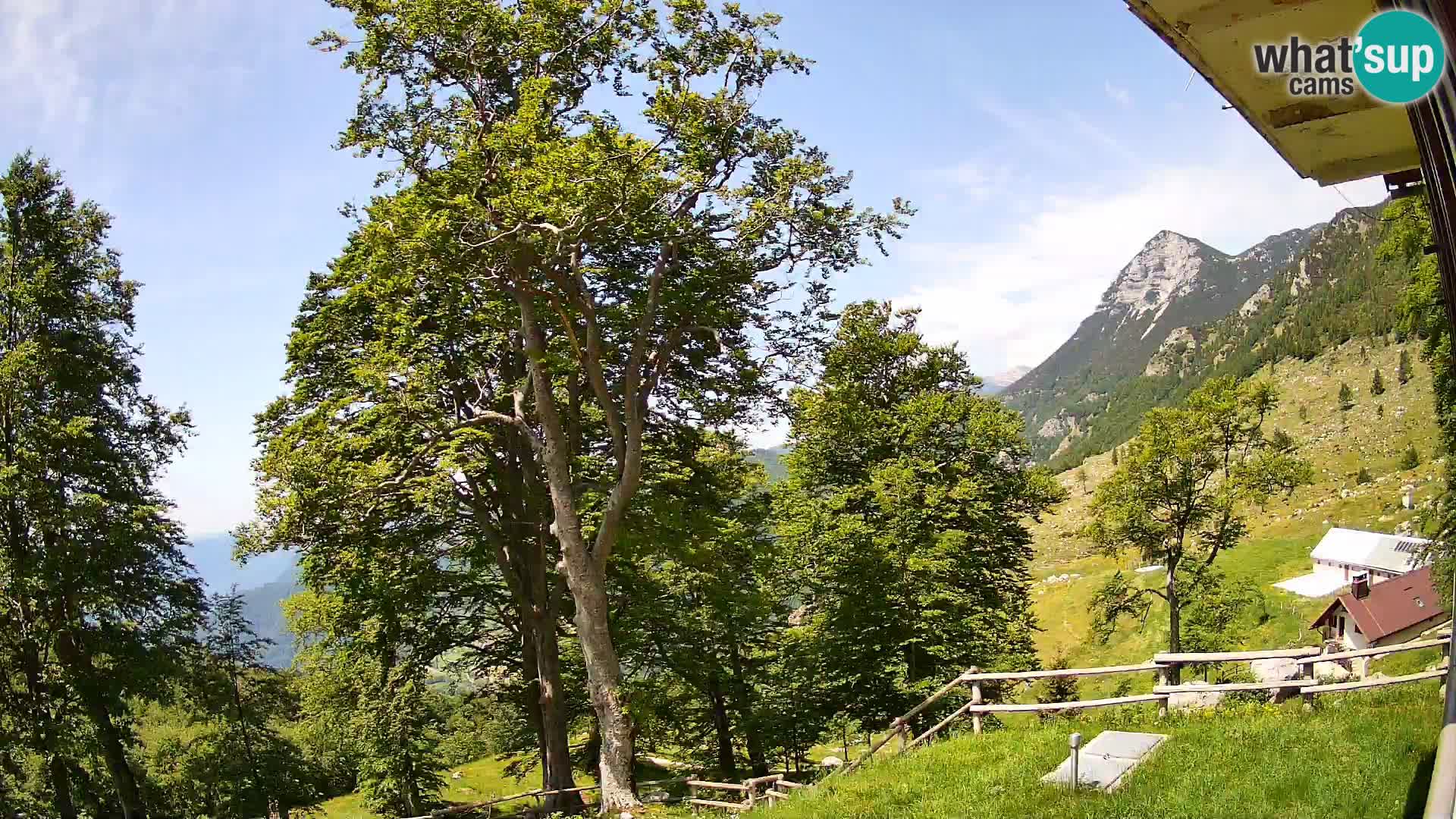 Cámara en vivo de la cabaña de montaña Planina Razor (1315) | vista hacia Tolminski Migovec