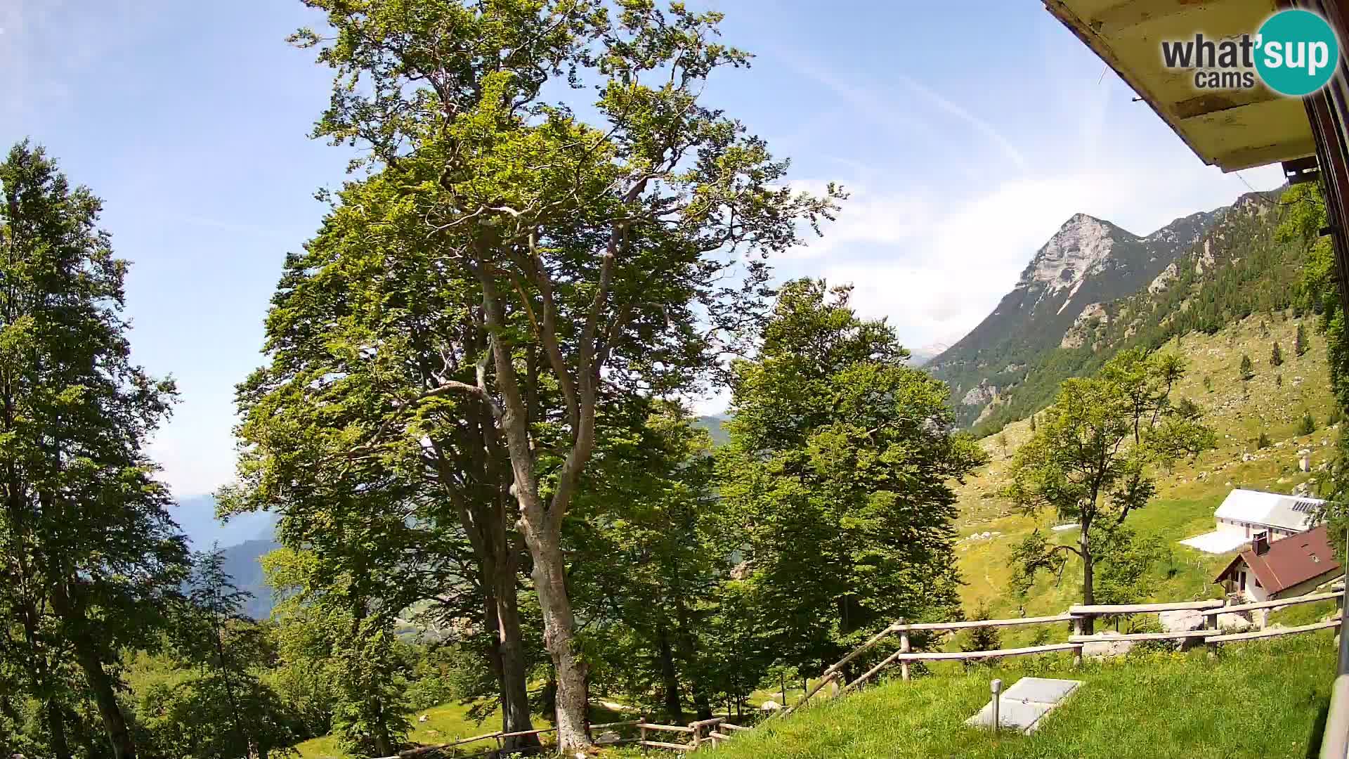 Cámara en vivo de la cabaña de montaña Planina Razor (1315) | vista hacia Tolminski Migovec