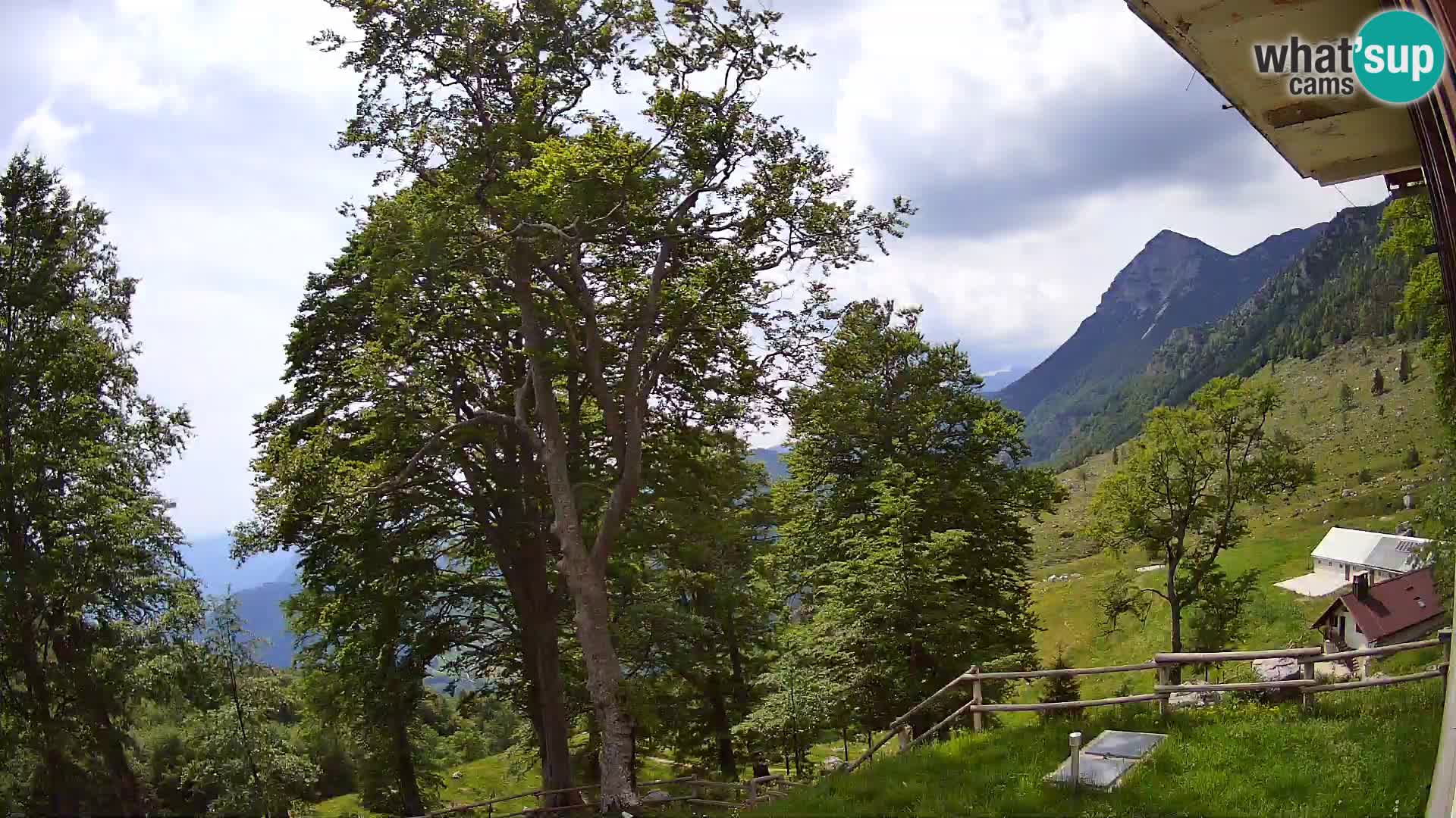 Cámara en vivo de la cabaña de montaña Planina Razor (1315) | vista hacia Tolminski Migovec