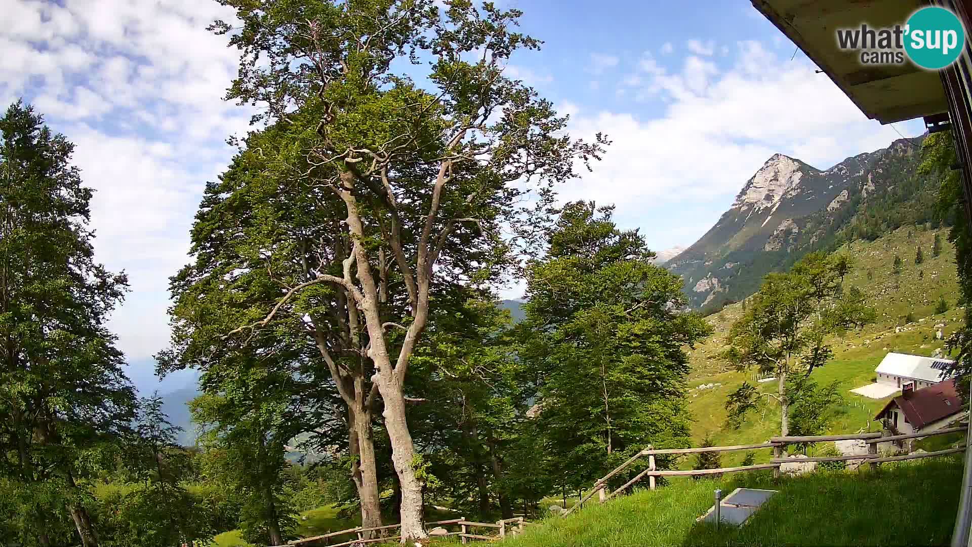 Planina Razor Mountain Hut live cam (1315) | view to Tolminski Migovec