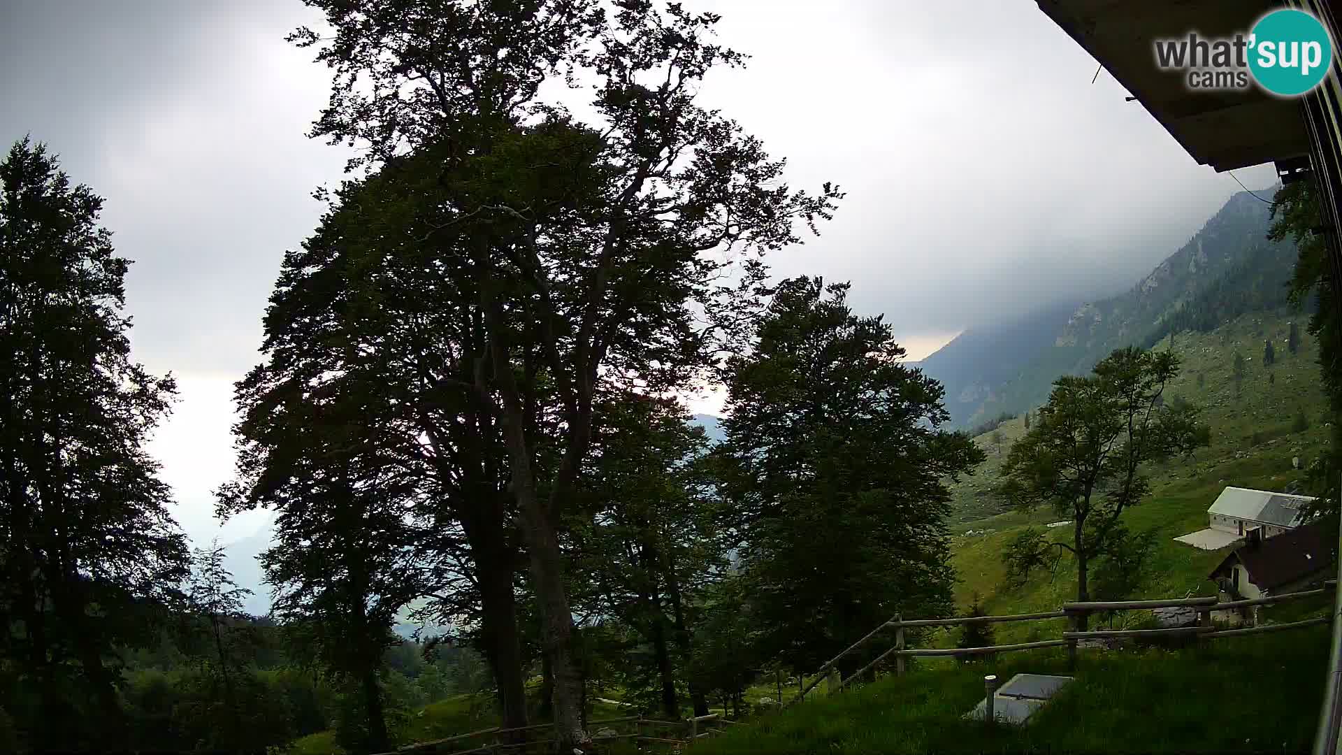 Planina Razor Bergütte Webcam (1315) | Blick auf Tolminski Migovec