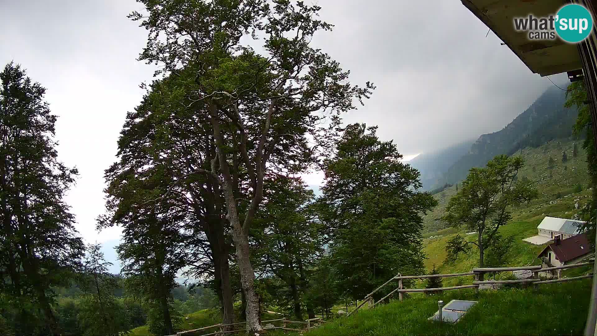 Planina Razor Mountain Hut live cam (1315) | view to Tolminski Migovec