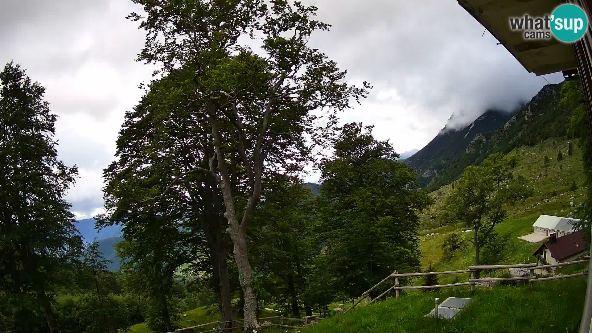 Baita di montagna Planina Razor webcam (1315) | vista su Tolminski Migovec