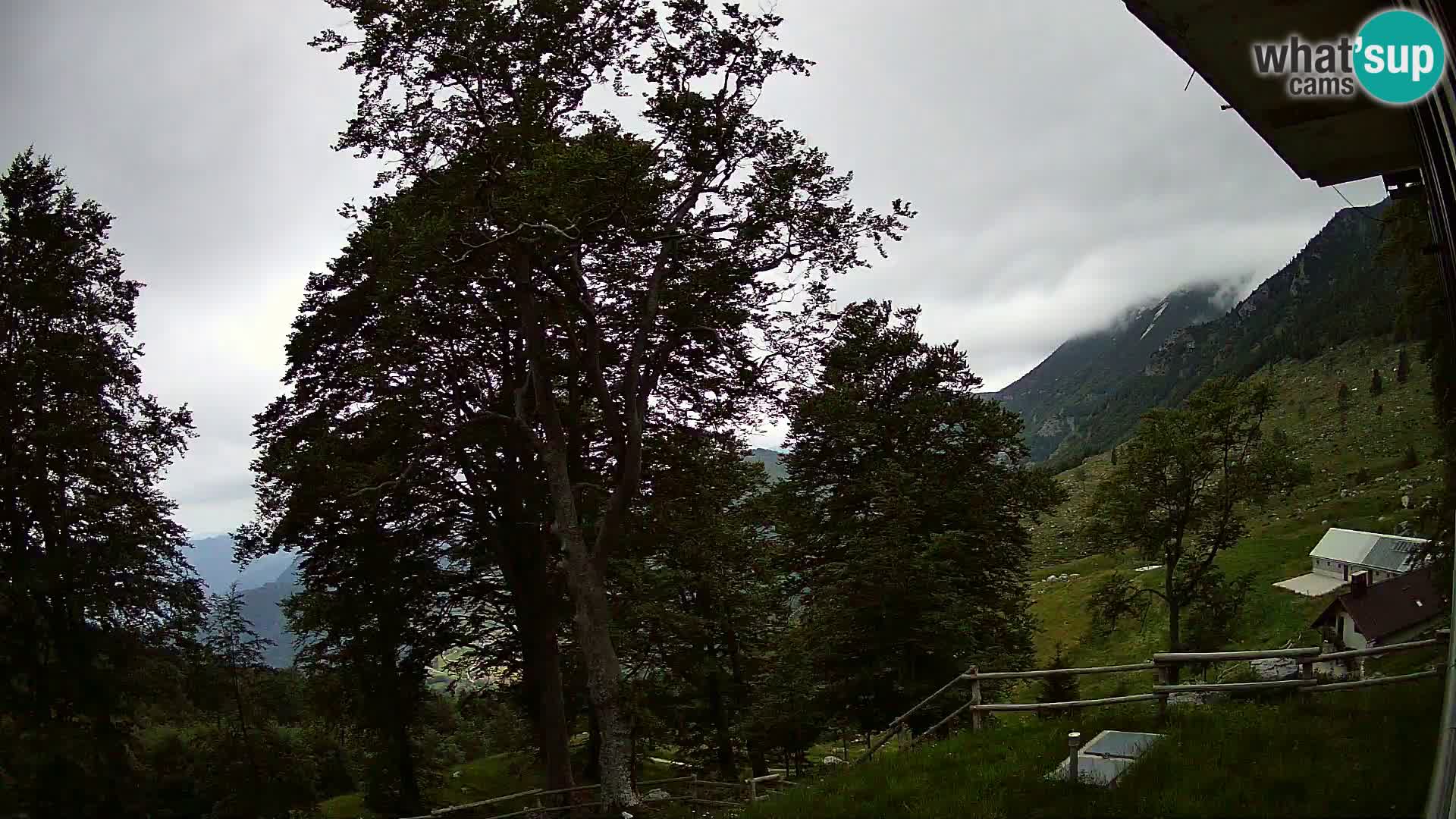 Planina Razor Mountain Hut live cam (1315) | view to Tolminski Migovec
