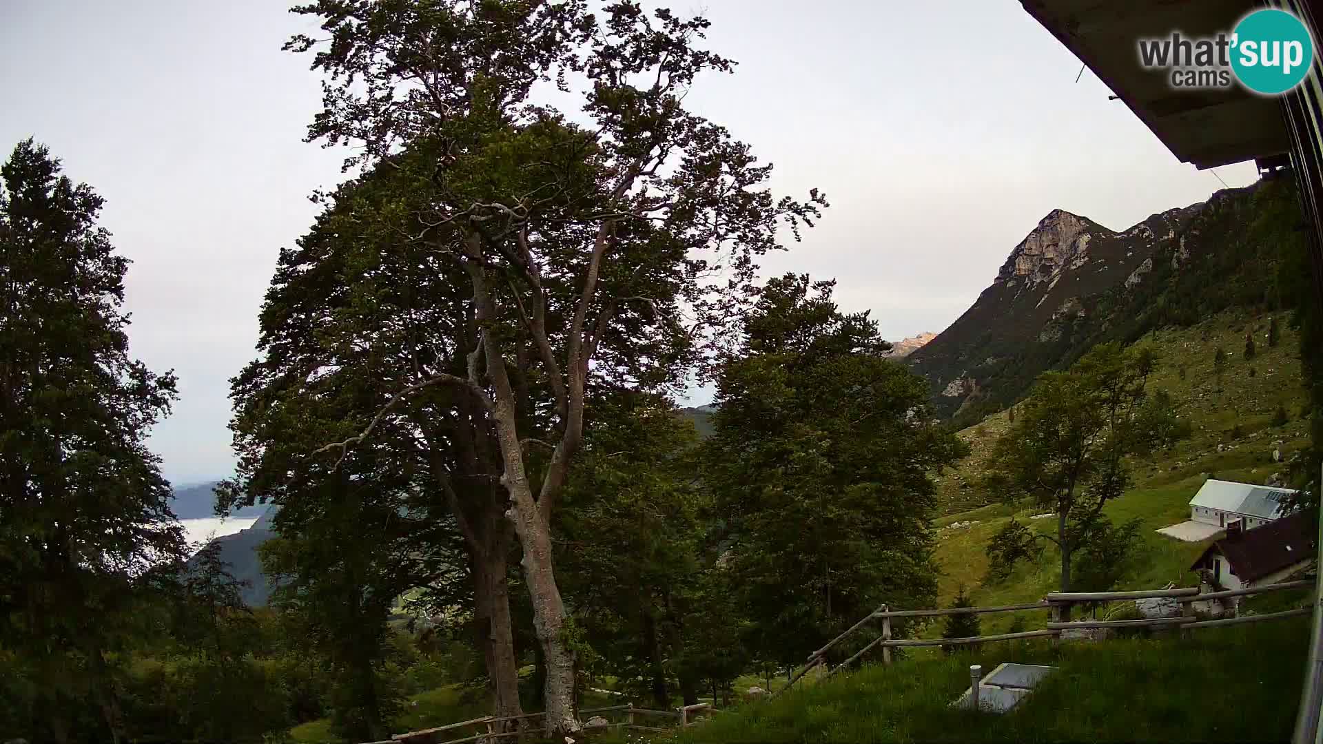 Planina Razor Mountain Hut live cam (1315) | view to Tolminski Migovec