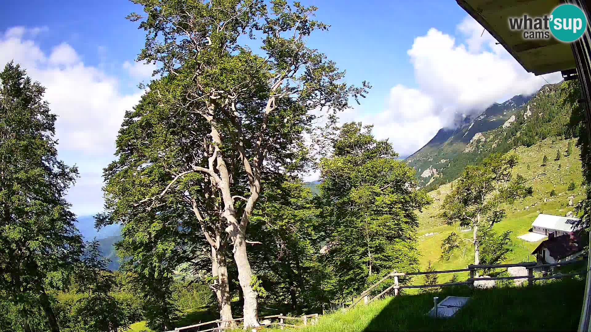 Refuge de la montagne Planina Razor caméra en direct (1315) | vue sur Tolminski Migovec