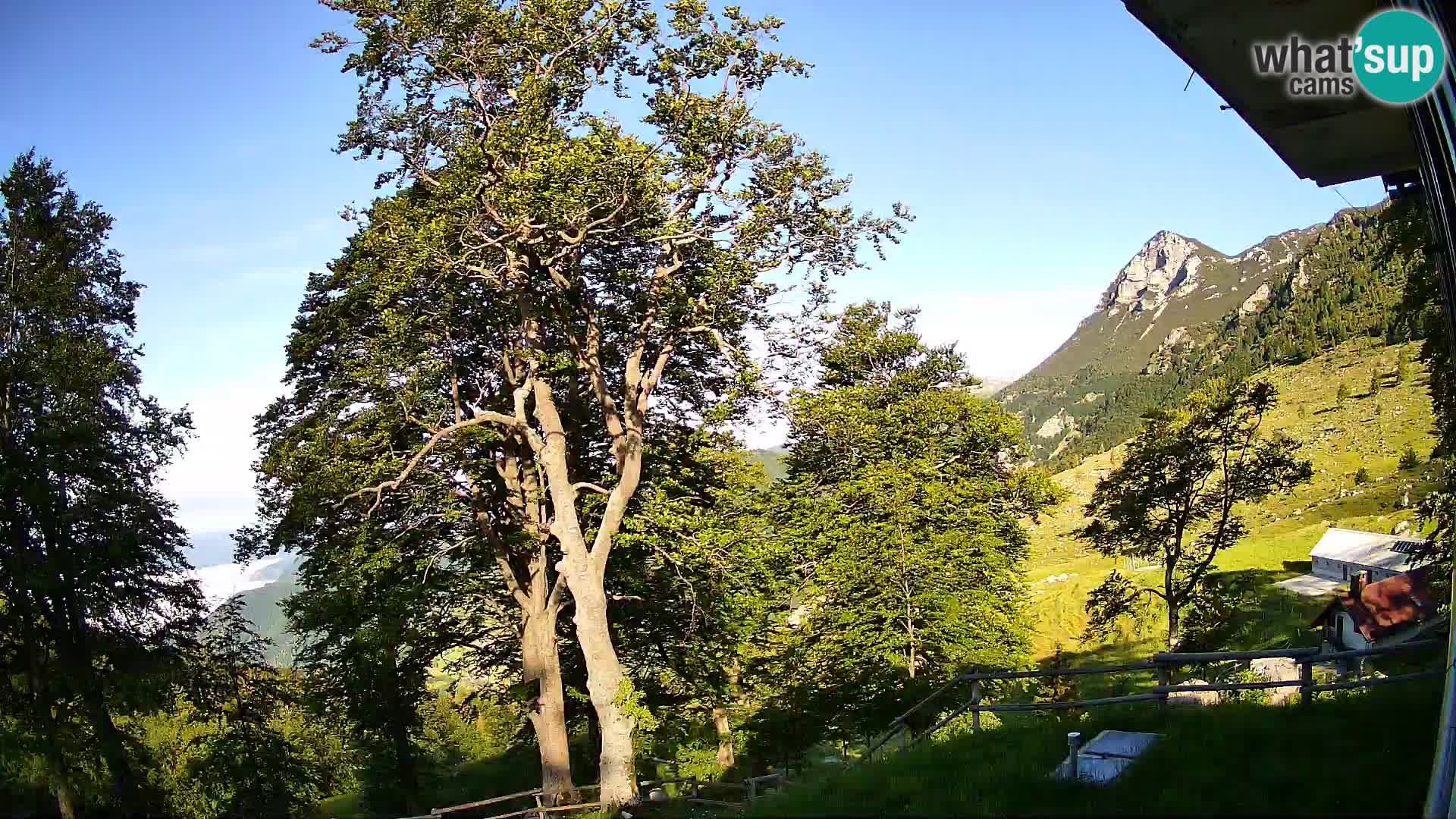 Planina Razor Bergütte Webcam (1315) | Blick auf Tolminski Migovec