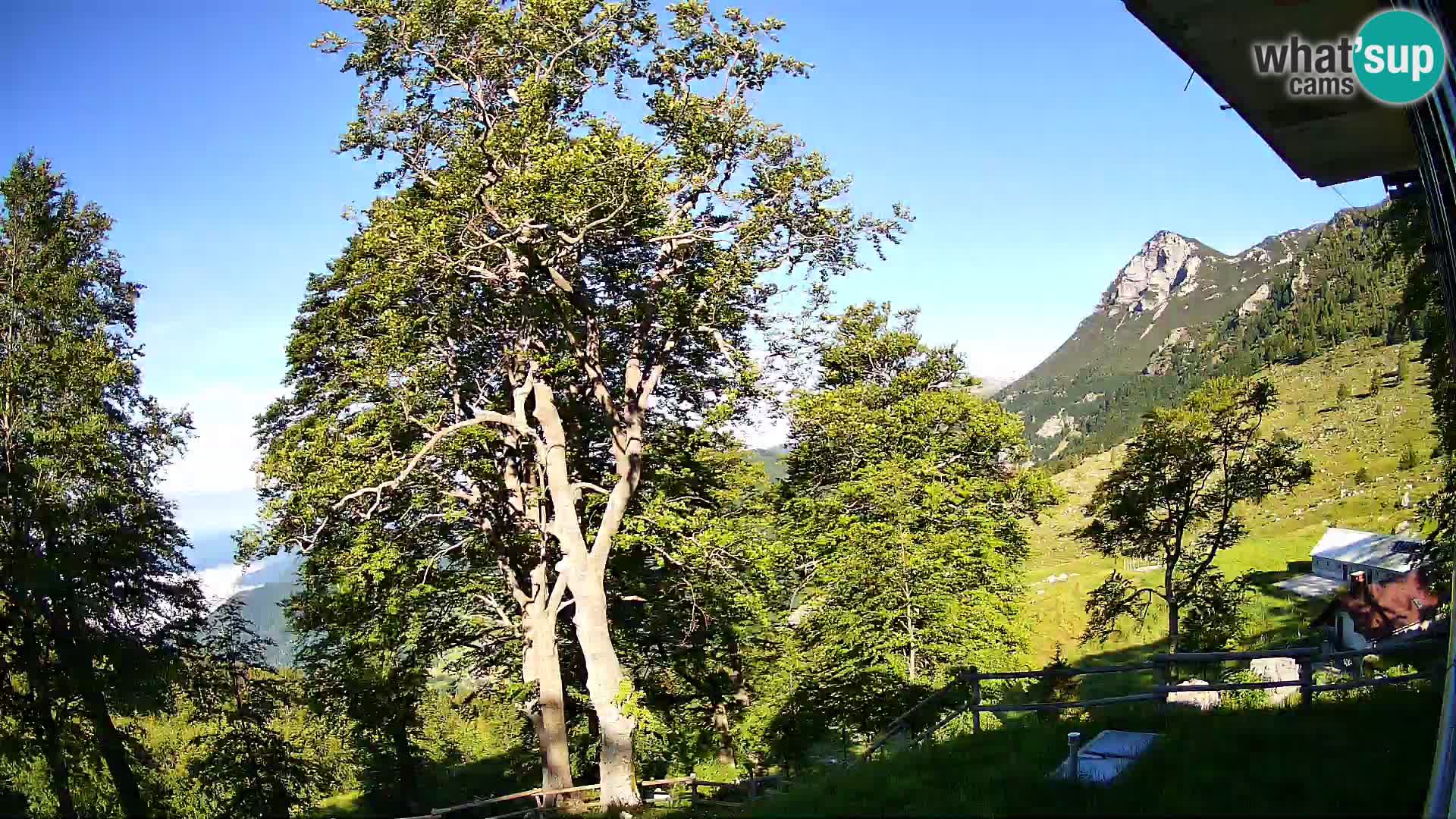 Planina Razor Bergütte Webcam (1315) | Blick auf Tolminski Migovec