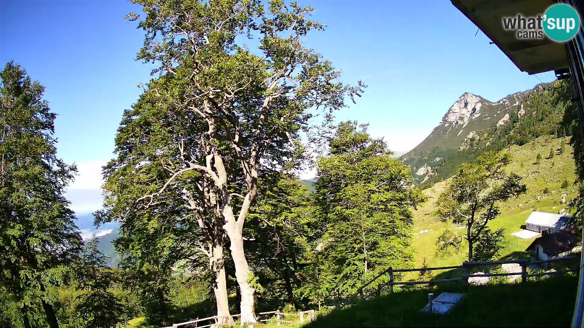 Planina Razor Bergütte Webcam (1315) | Blick auf Tolminski Migovec