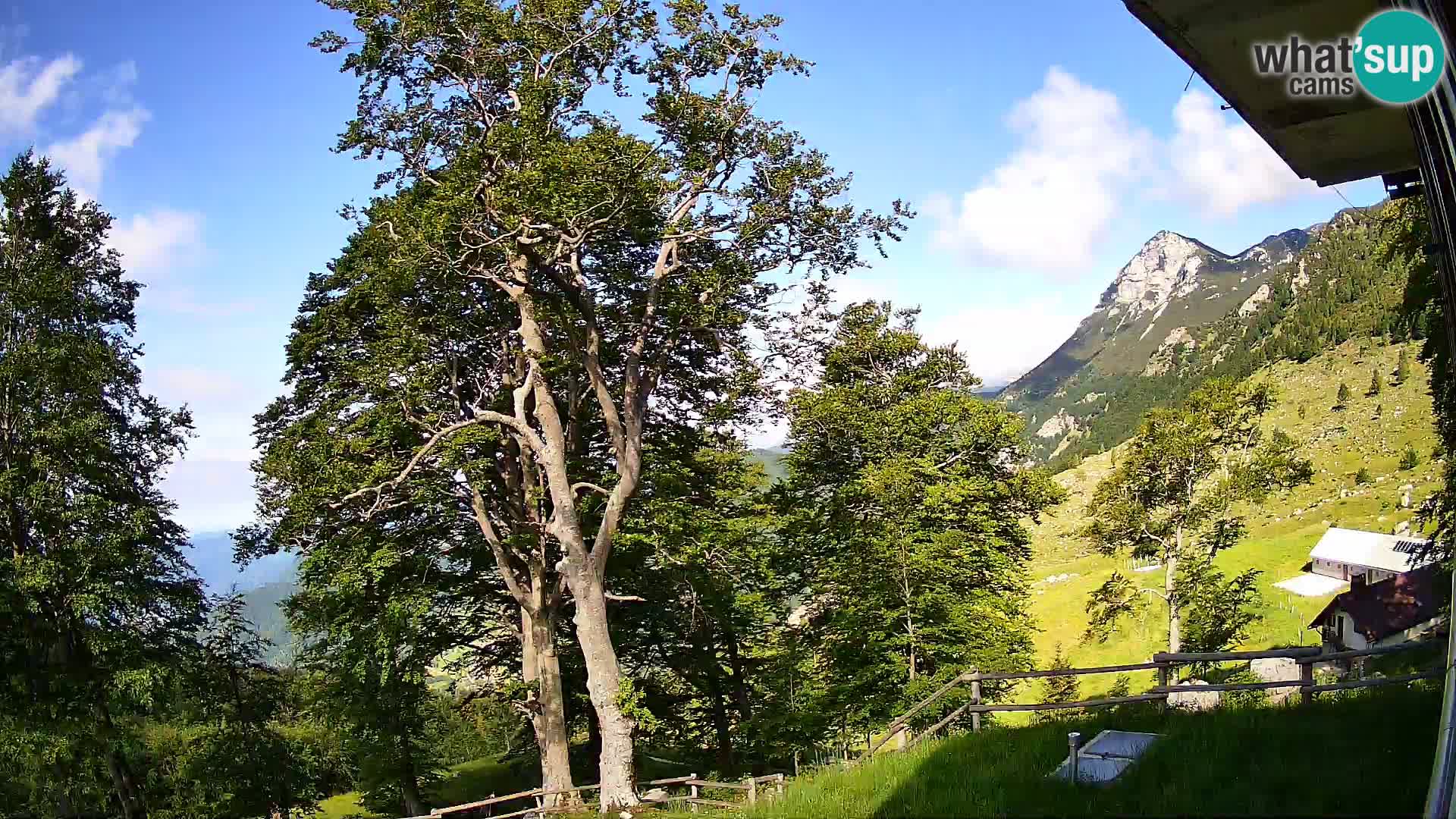 Planina Razor Bergütte Webcam (1315) | Blick auf Tolminski Migovec