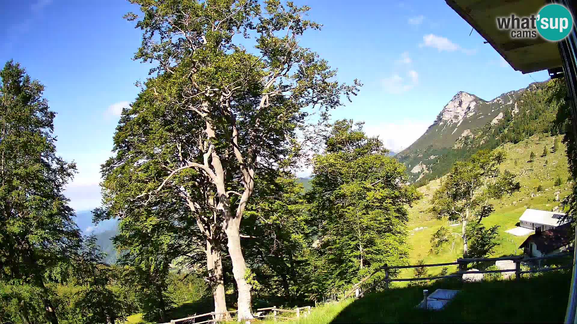 Cámara en vivo de la cabaña de montaña Planina Razor (1315) | vista hacia Tolminski Migovec
