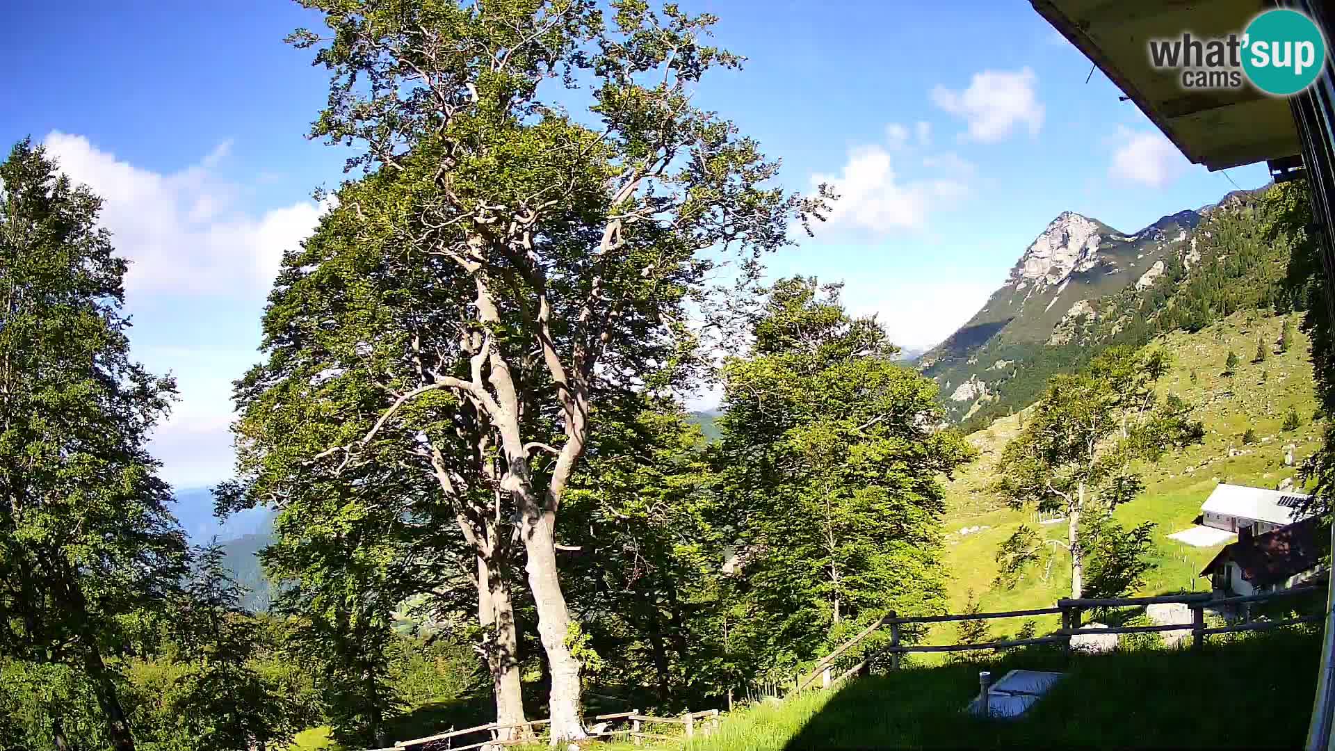 Planina Razor Mountain Hut live cam (1315) | view to Tolminski Migovec