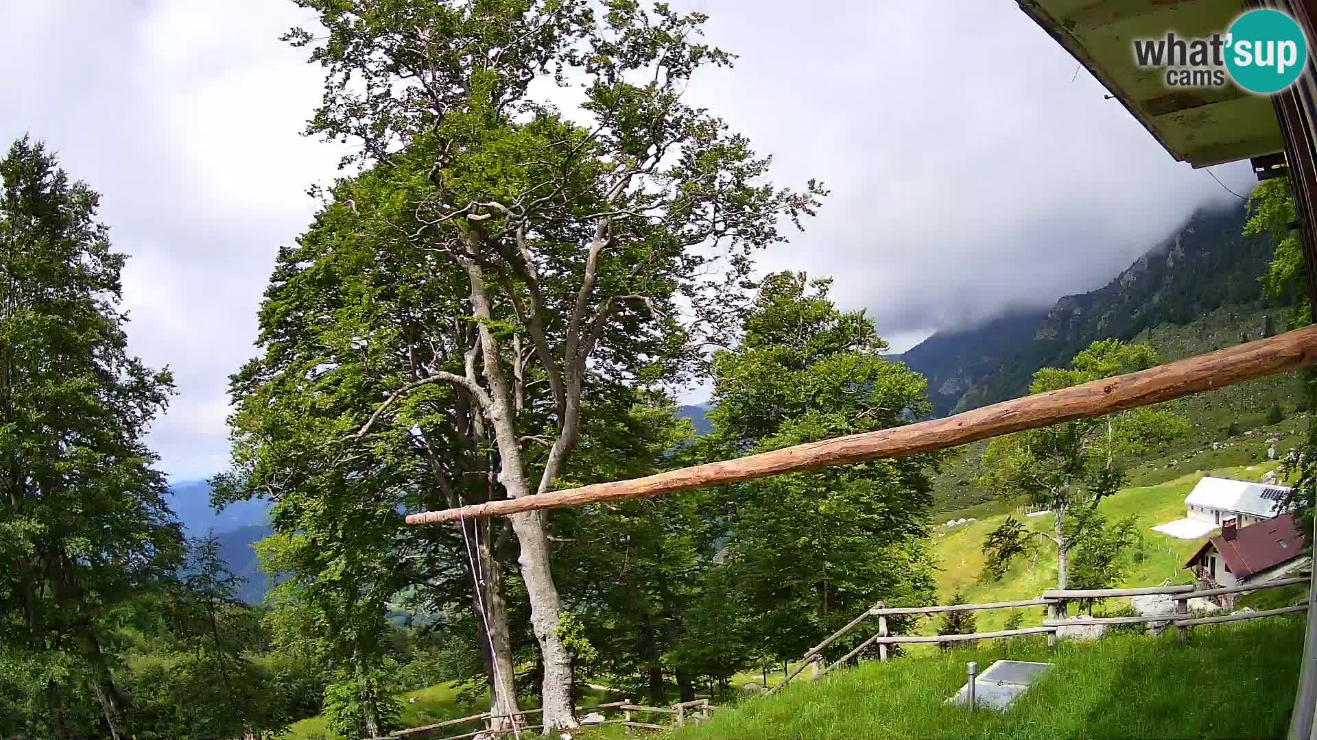 Koča na Planini Razor spletna kamera (1315) | Pogled na Tolminski Migovec