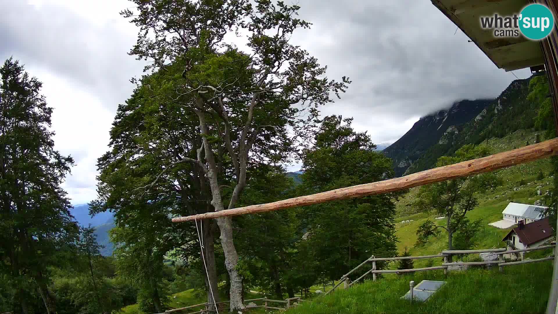 Planina Razor Bergütte Webcam (1315) | Blick auf Tolminski Migovec