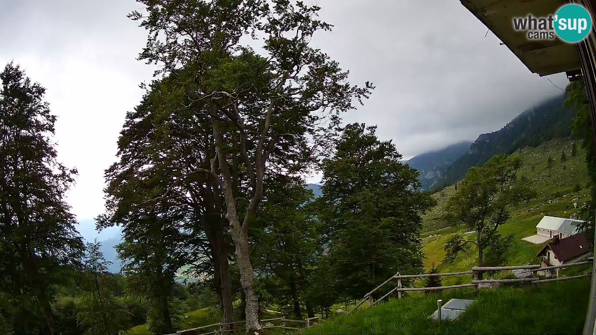Planina Razor Mountain Hut live cam (1315) | view to Tolminski Migovec