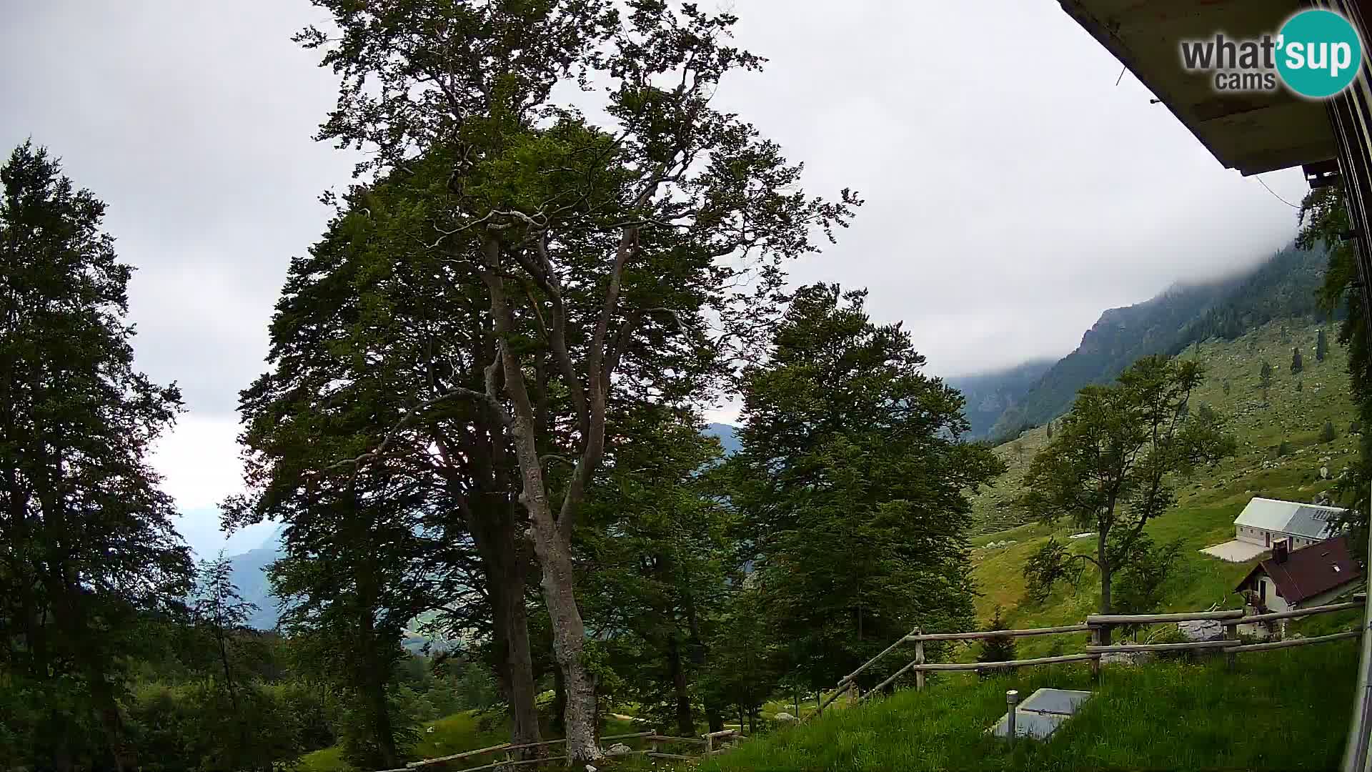 Baita di montagna Planina Razor webcam (1315) | vista su Tolminski Migovec