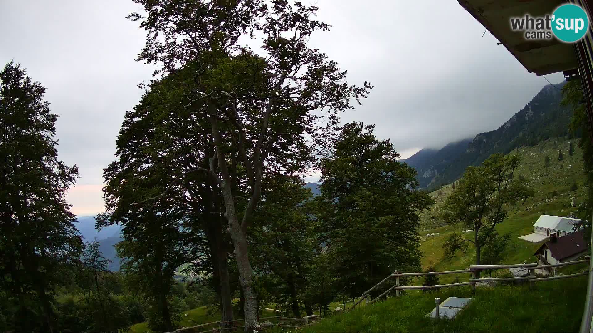 Baita di montagna Planina Razor webcam (1315) | vista su Tolminski Migovec