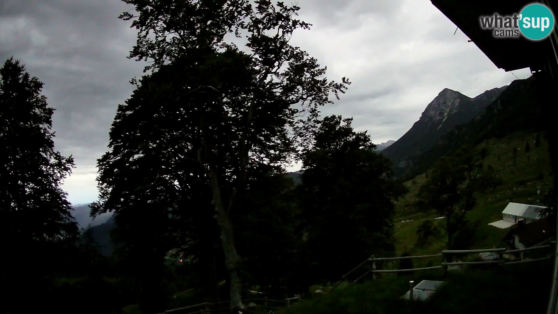 Planina Razor Bergütte Webcam (1315) | Blick auf Tolminski Migovec