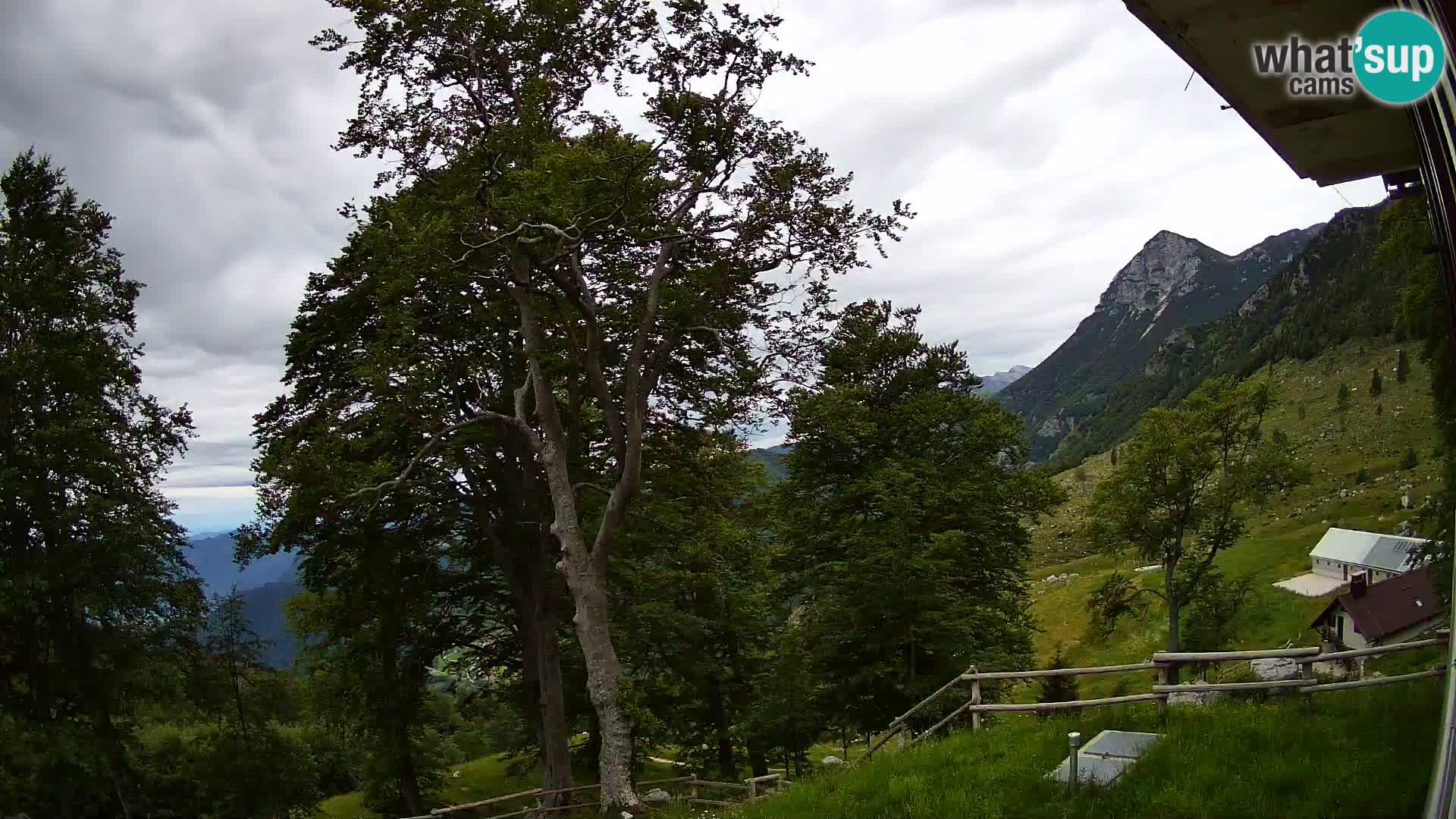 Baita di montagna Planina Razor webcam (1315) | vista su Tolminski Migovec