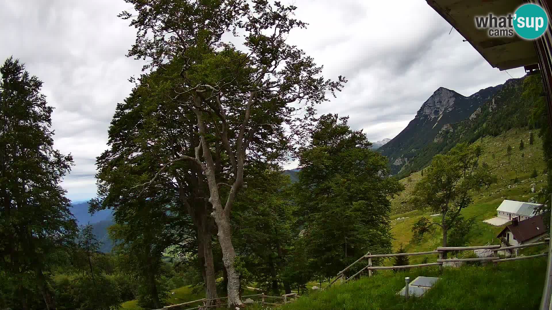 Planina Razor Mountain Hut live cam (1315) | view to Tolminski Migovec