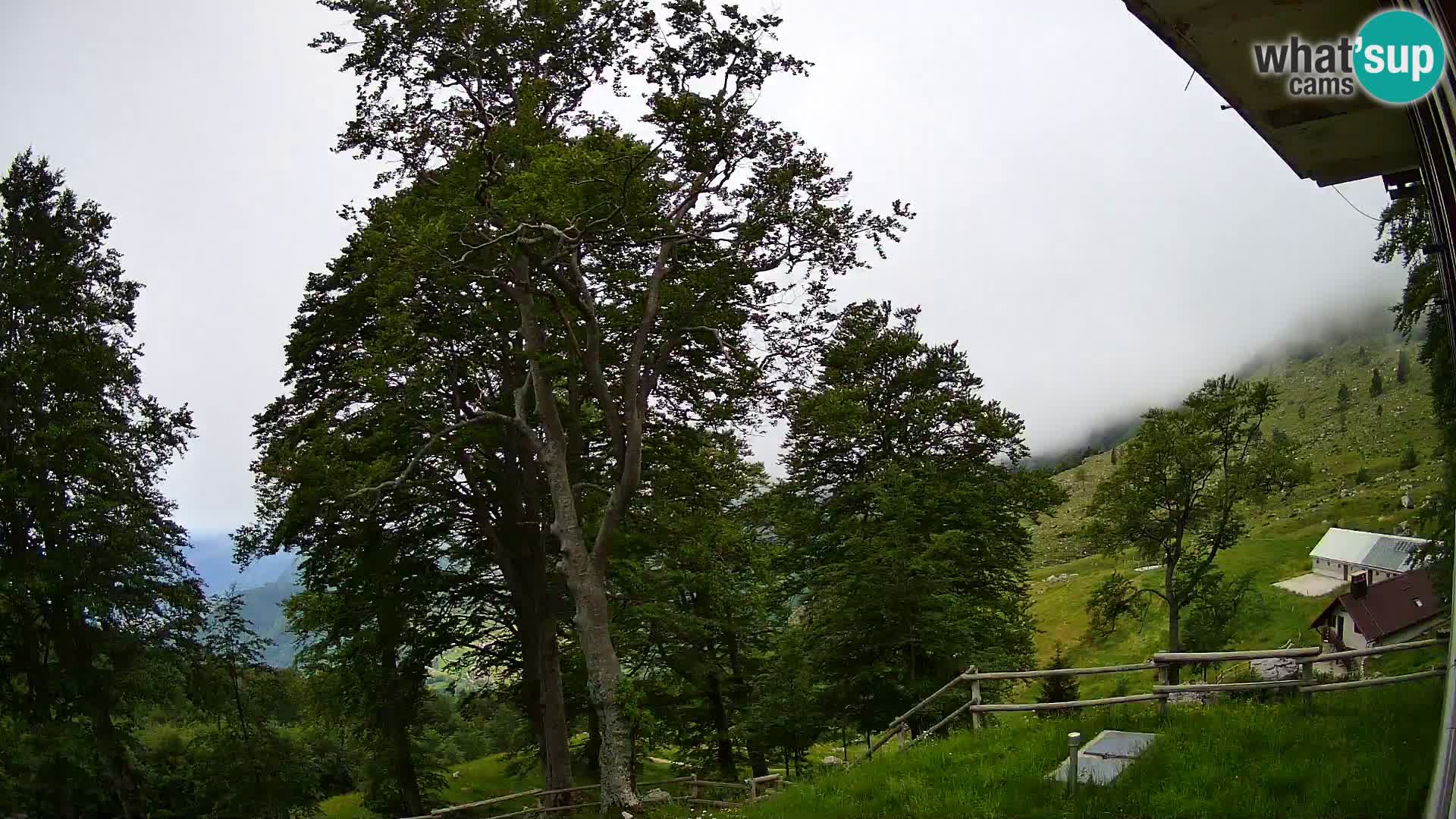 Refuge de la montagne Planina Razor caméra en direct (1315) | vue sur Tolminski Migovec