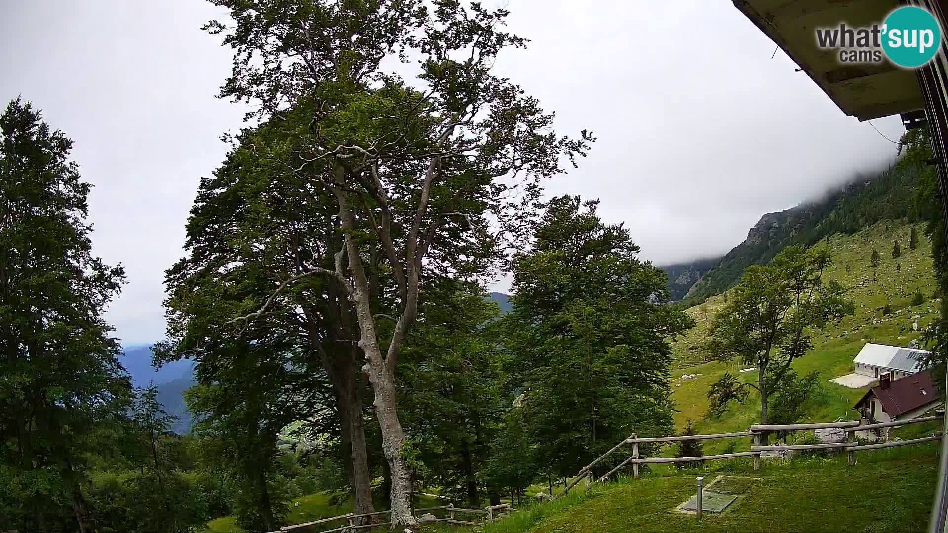 Refuge de la montagne Planina Razor caméra en direct (1315) | vue sur Tolminski Migovec