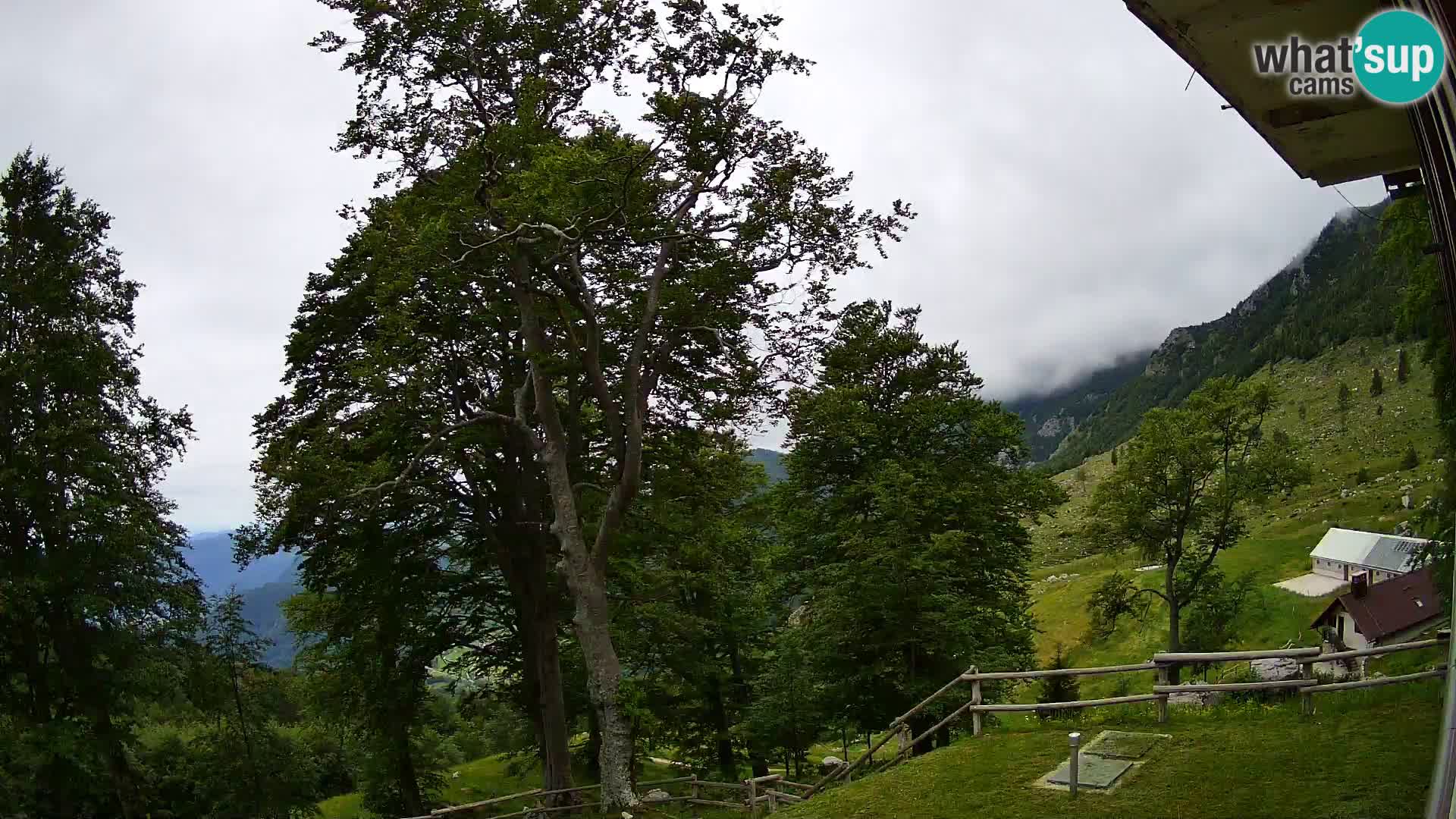 Koča na Planini Razor spletna kamera (1315) | Pogled na Tolminski Migovec