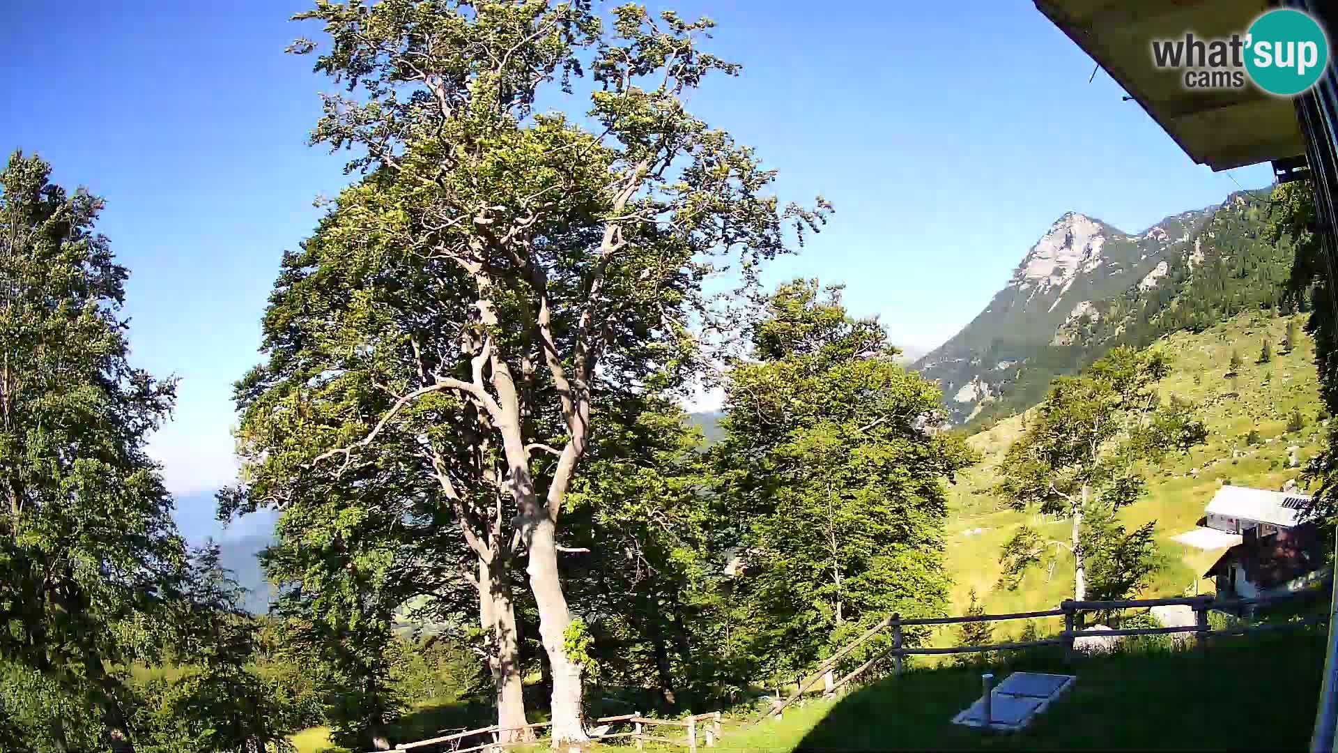Planinarski dom na planini Razor (1315) | Pogled na Tolminski Migovec