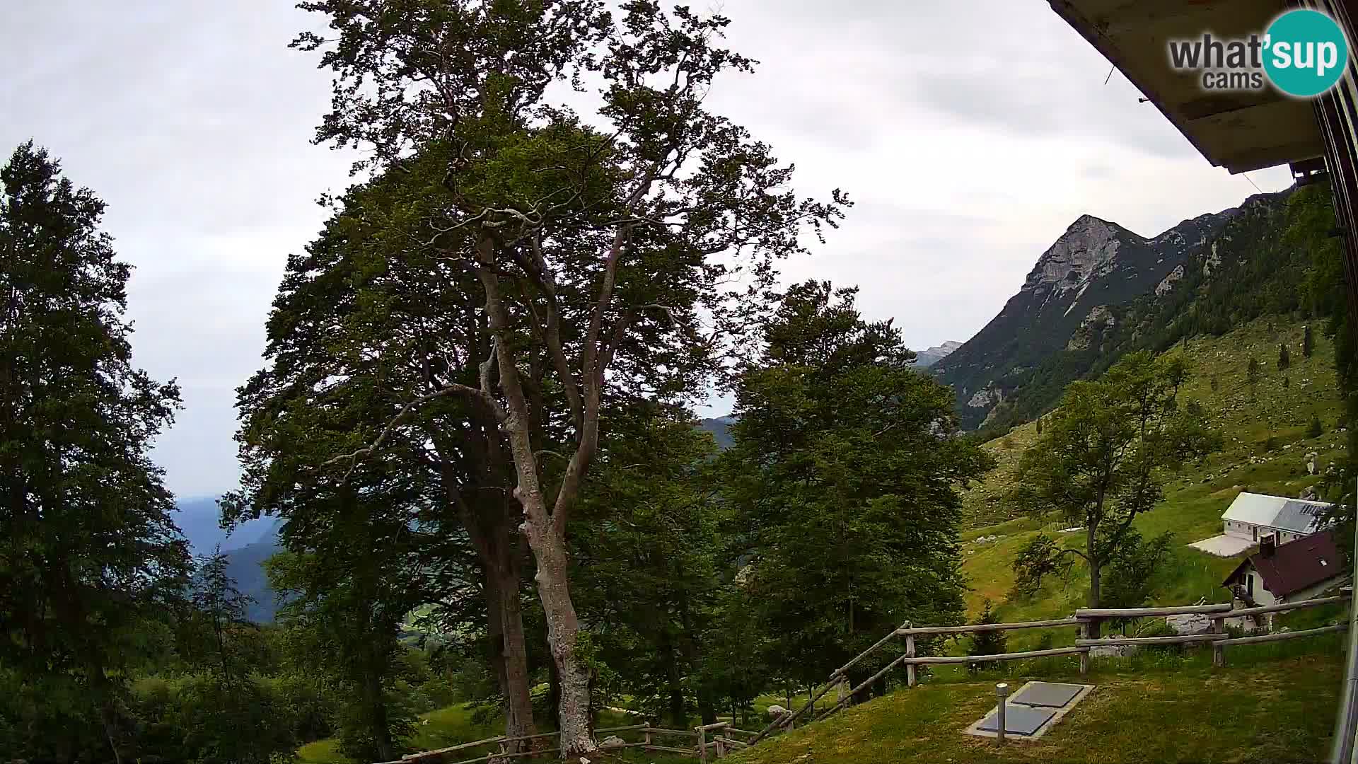 Refuge de la montagne Planina Razor caméra en direct (1315) | vue sur Tolminski Migovec