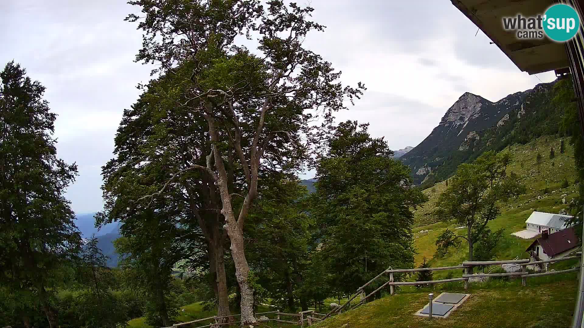 Planina Razor Bergütte Webcam (1315) | Blick auf Tolminski Migovec
