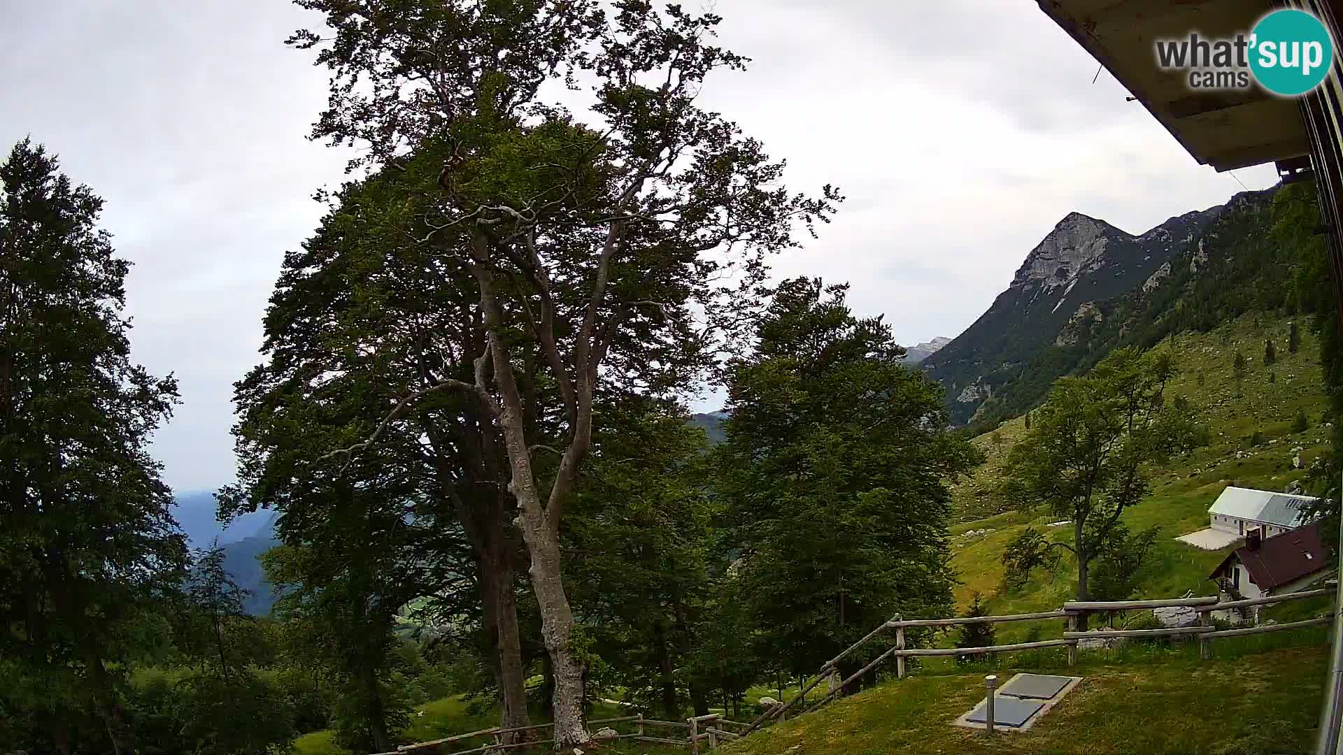 Planina Razor Bergütte Webcam (1315) | Blick auf Tolminski Migovec