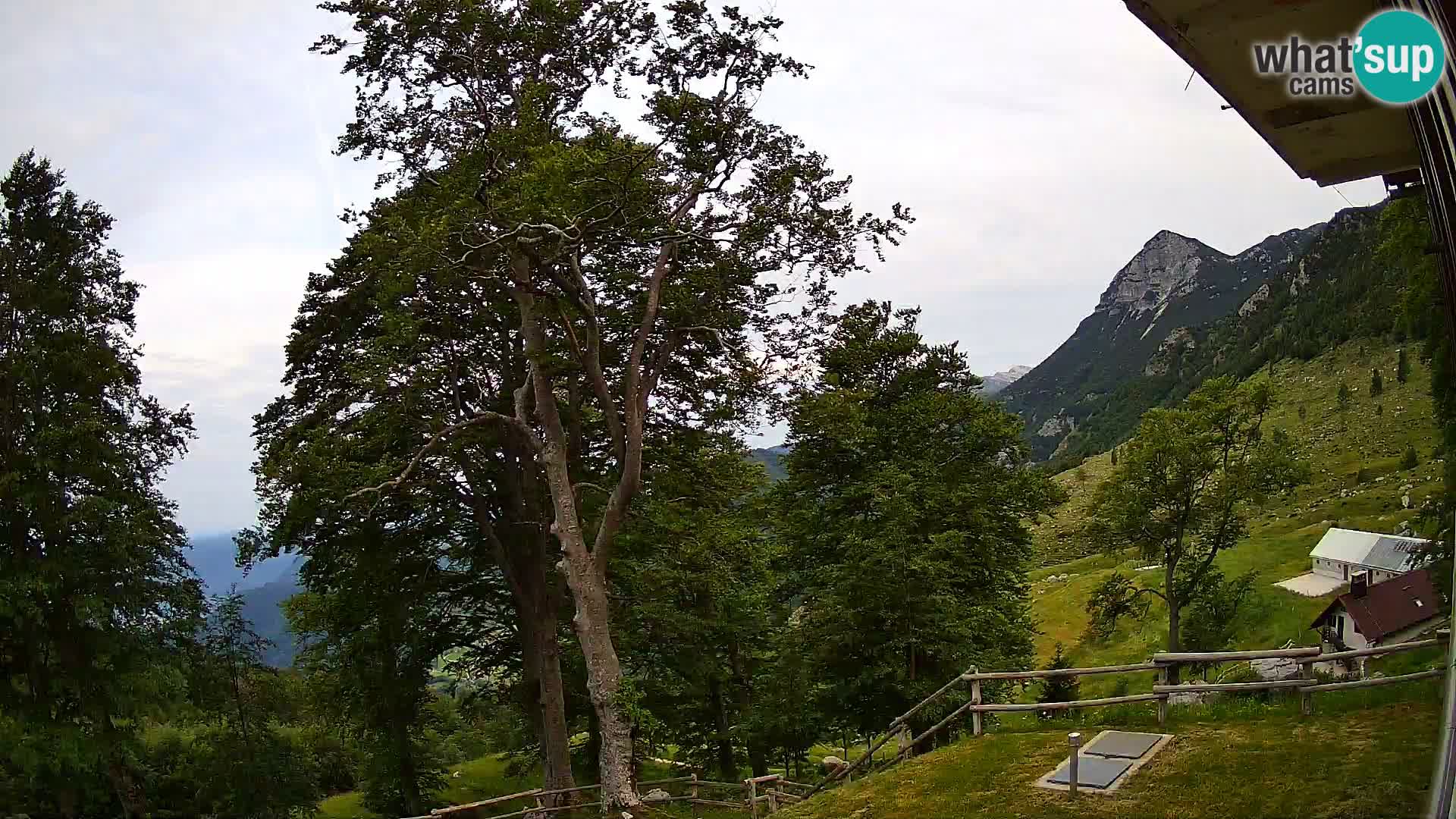 Baita di montagna Planina Razor webcam (1315) | vista su Tolminski Migovec