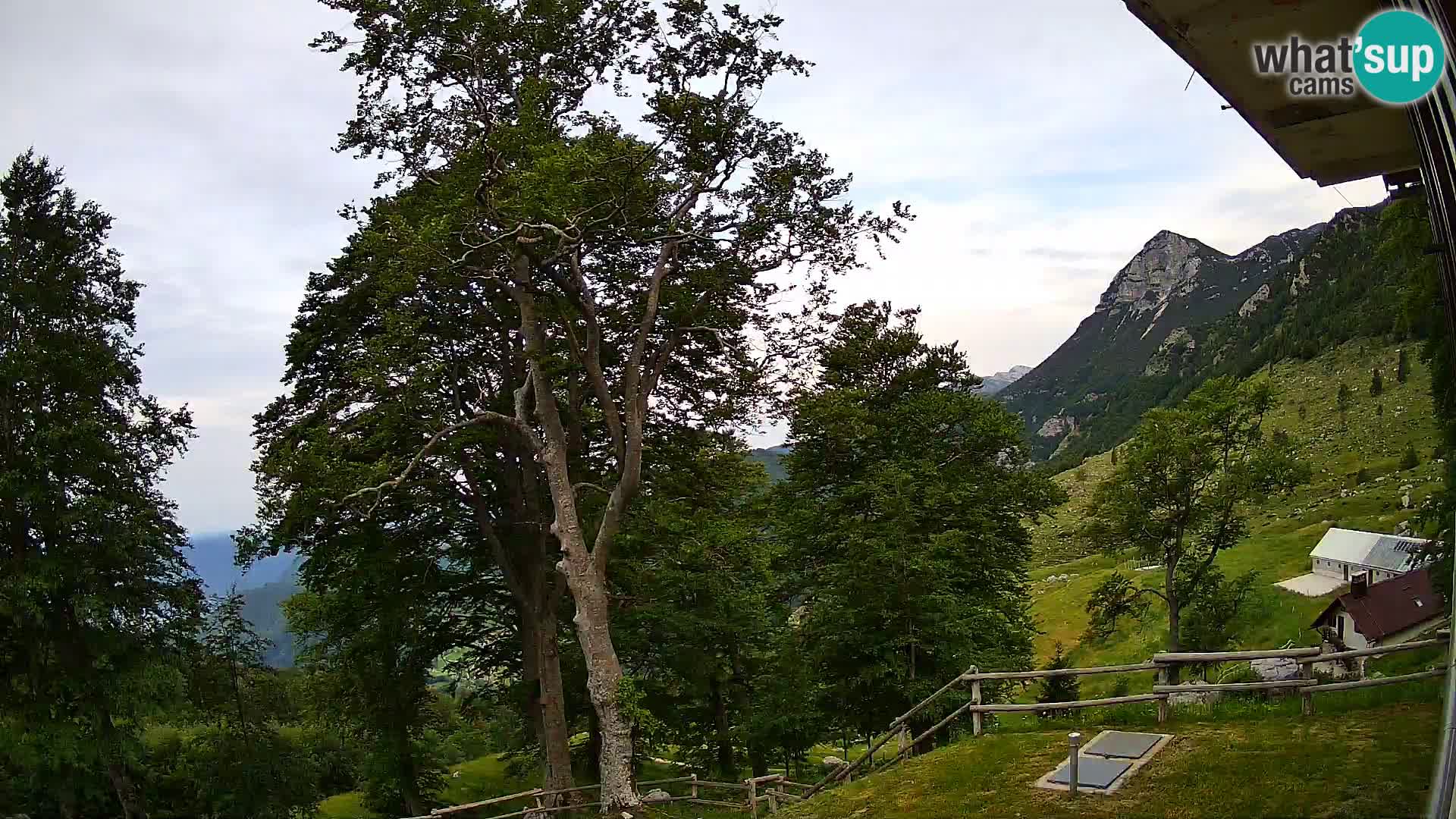 Planina Razor Bergütte Webcam (1315) | Blick auf Tolminski Migovec