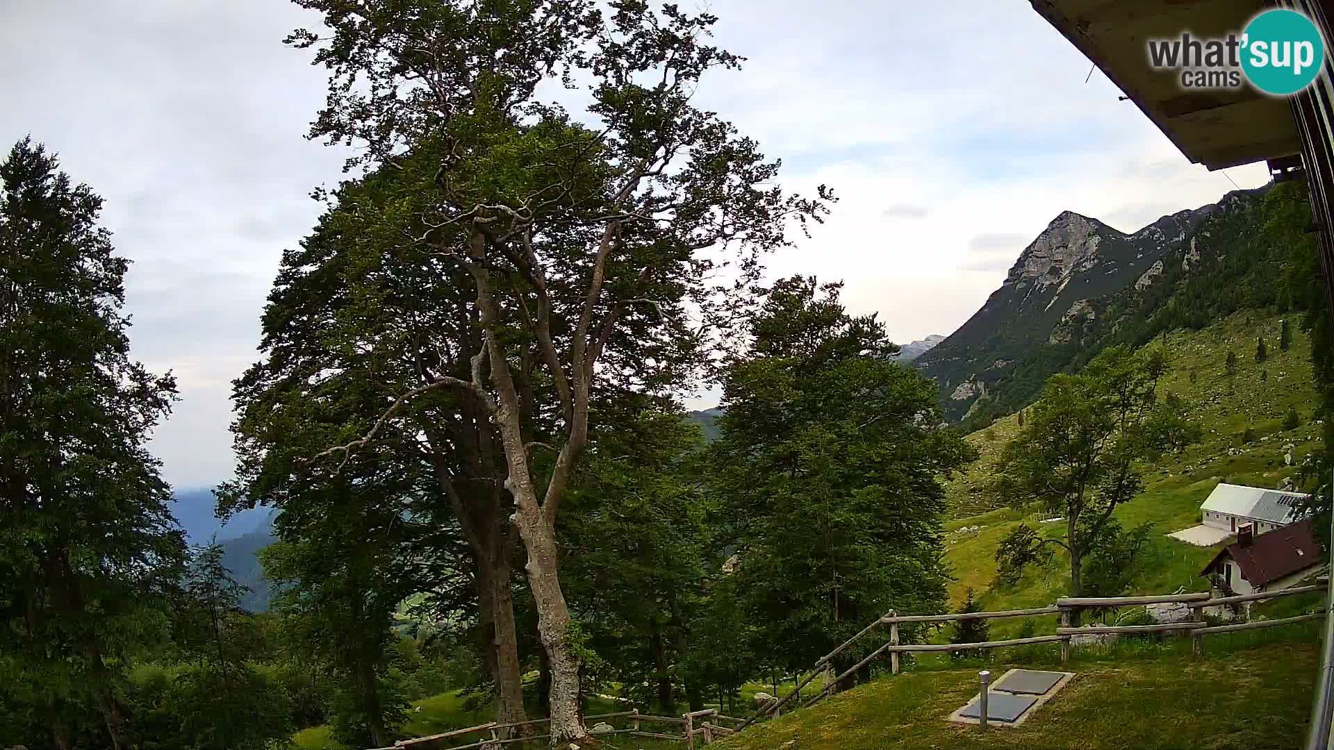 Baita di montagna Planina Razor webcam (1315) | vista su Tolminski Migovec