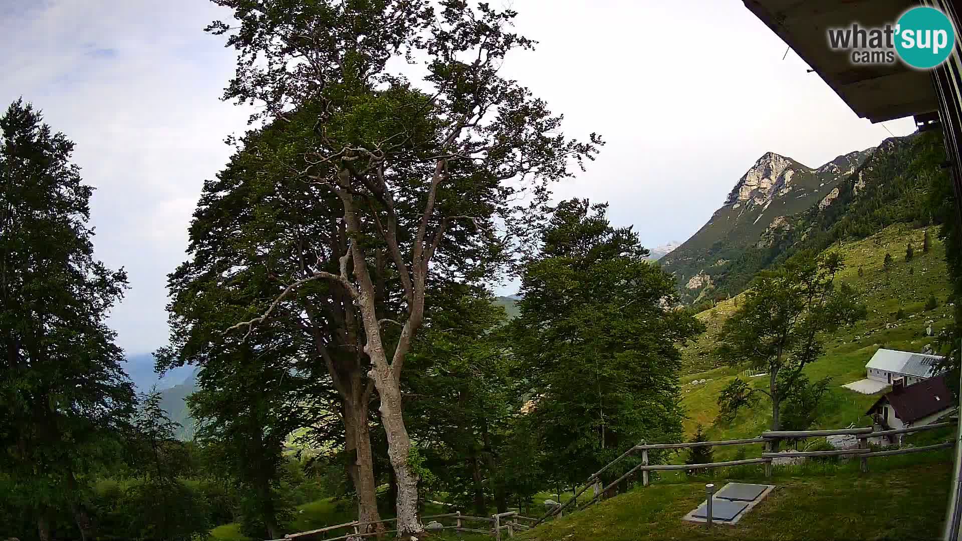Cámara en vivo de la cabaña de montaña Planina Razor (1315) | vista hacia Tolminski Migovec