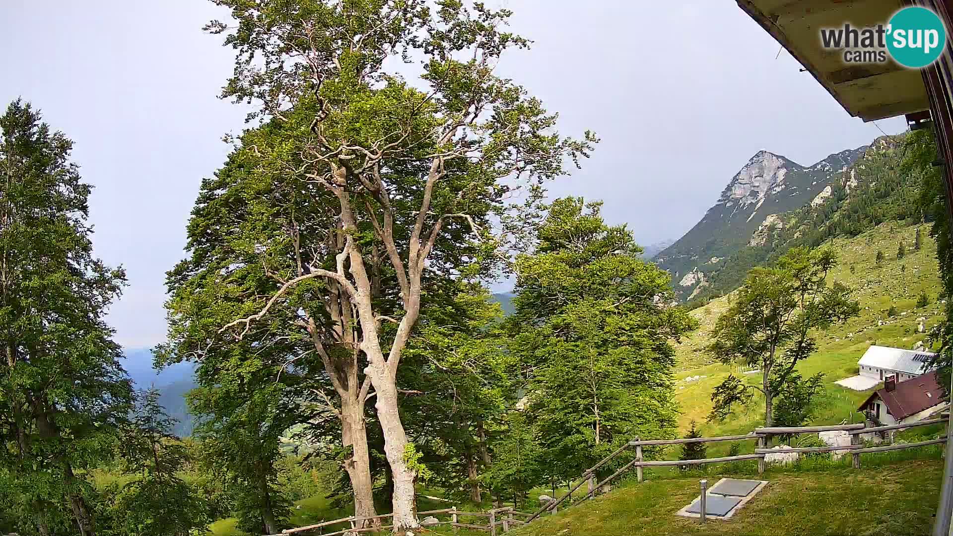 Baita di montagna Planina Razor webcam (1315) | vista su Tolminski Migovec
