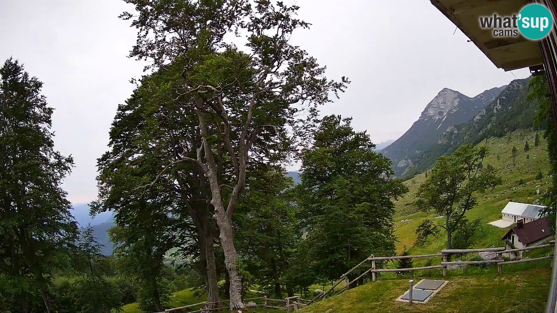 Planina Razor Bergütte Webcam (1315) | Blick auf Tolminski Migovec