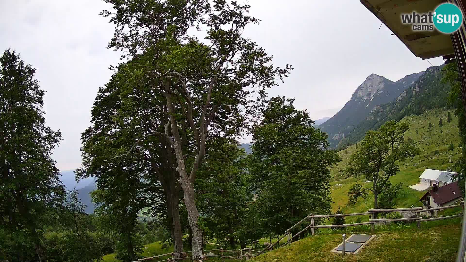 Planina Razor Bergütte Webcam (1315) | Blick auf Tolminski Migovec