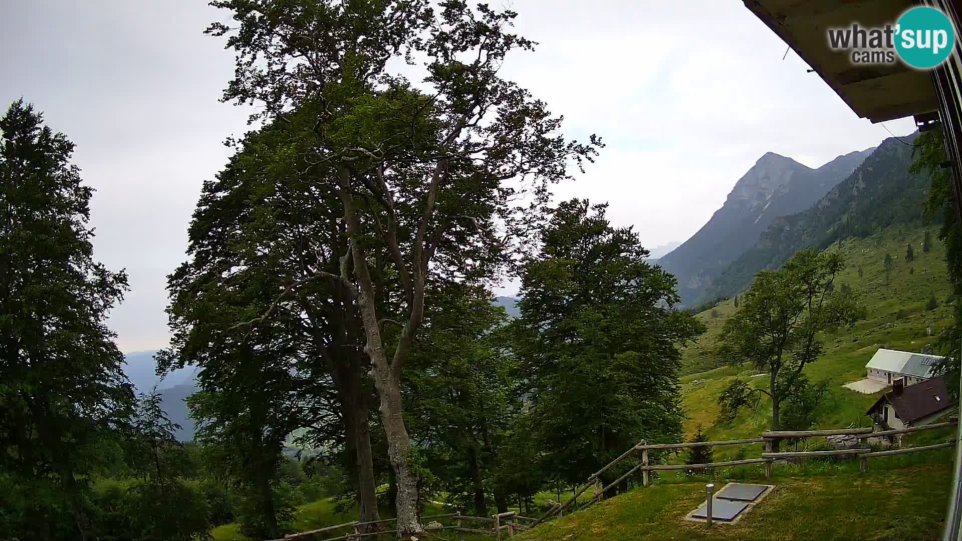 Baita di montagna Planina Razor webcam (1315) | vista su Tolminski Migovec