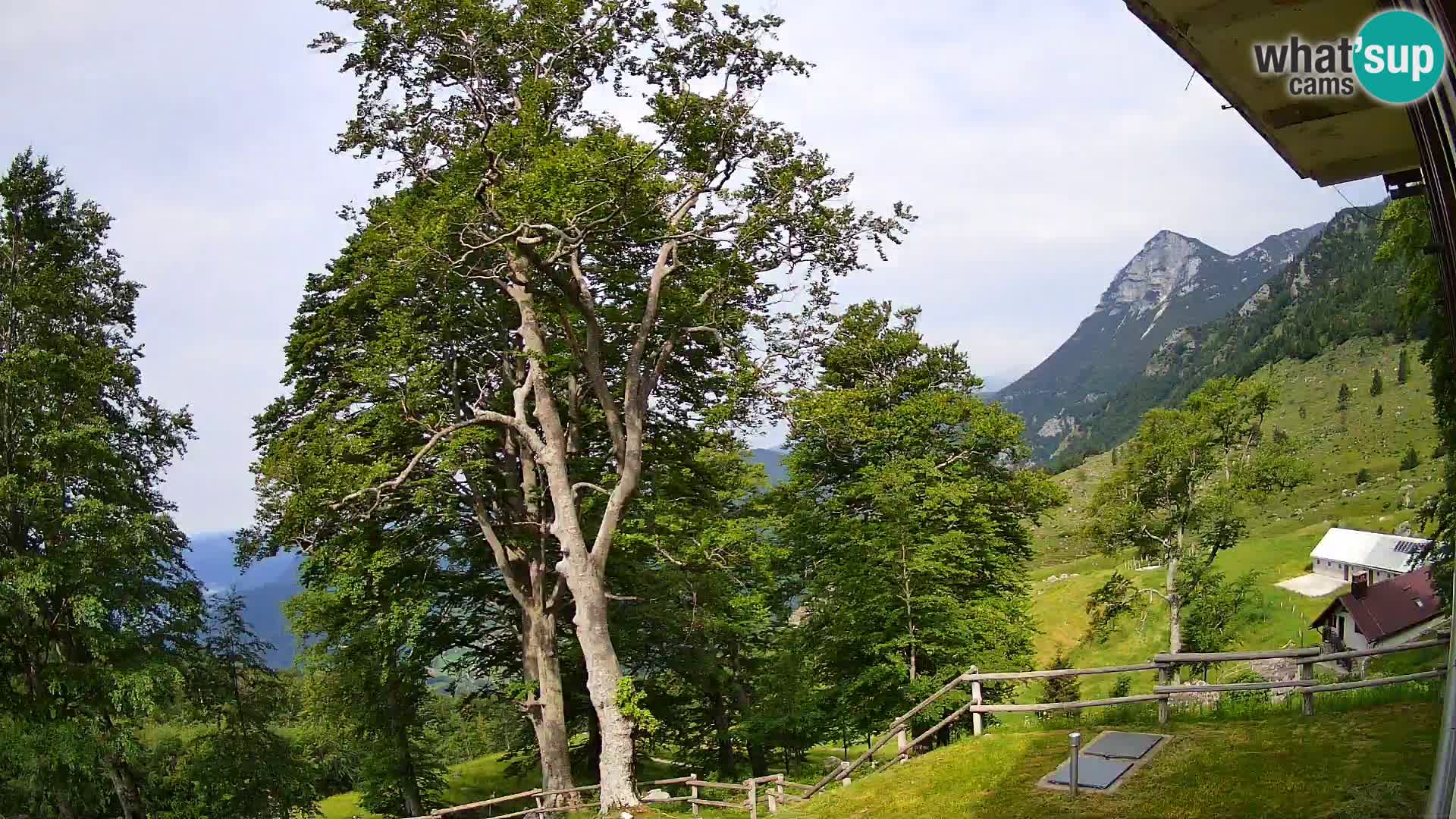 Planina Razor Bergütte Webcam (1315) | Blick auf Tolminski Migovec