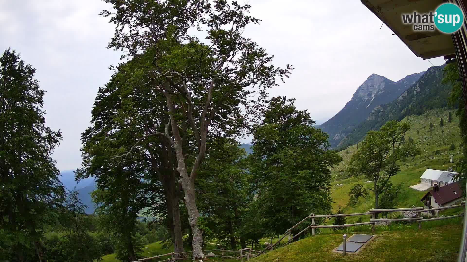 Planina Razor Bergütte Webcam (1315) | Blick auf Tolminski Migovec