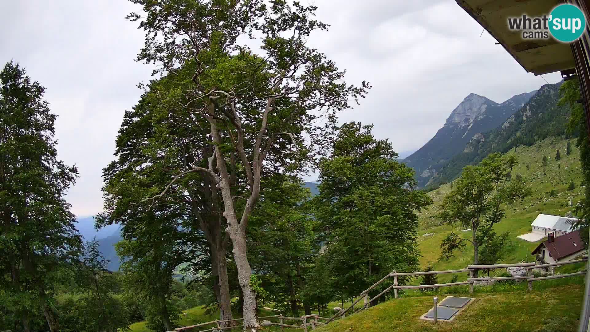 Planina Razor Bergütte Webcam (1315) | Blick auf Tolminski Migovec