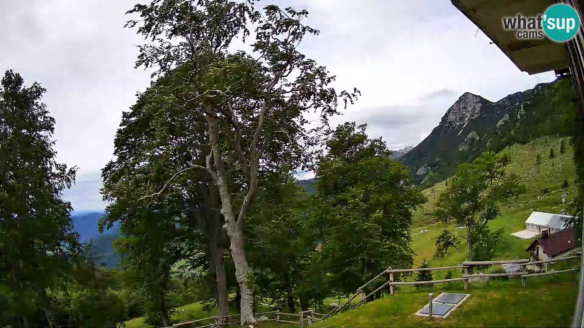 Cámara en vivo de la cabaña de montaña Planina Razor (1315) | vista hacia Tolminski Migovec