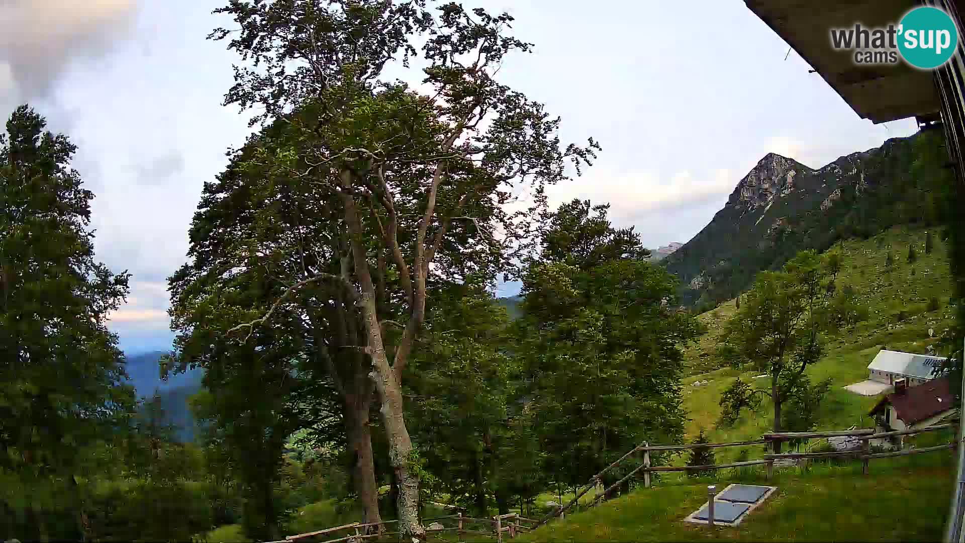 Cámara en vivo de la cabaña de montaña Planina Razor (1315) | vista hacia Tolminski Migovec