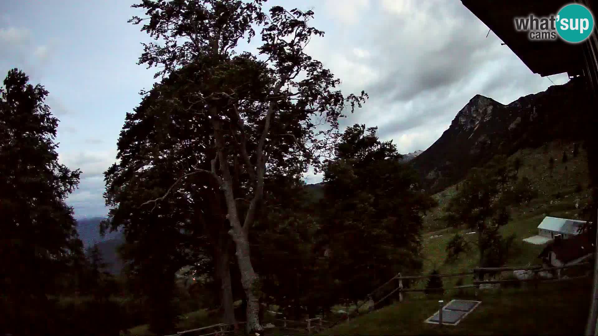 Planina Razor Bergütte Webcam (1315) | Blick auf Tolminski Migovec