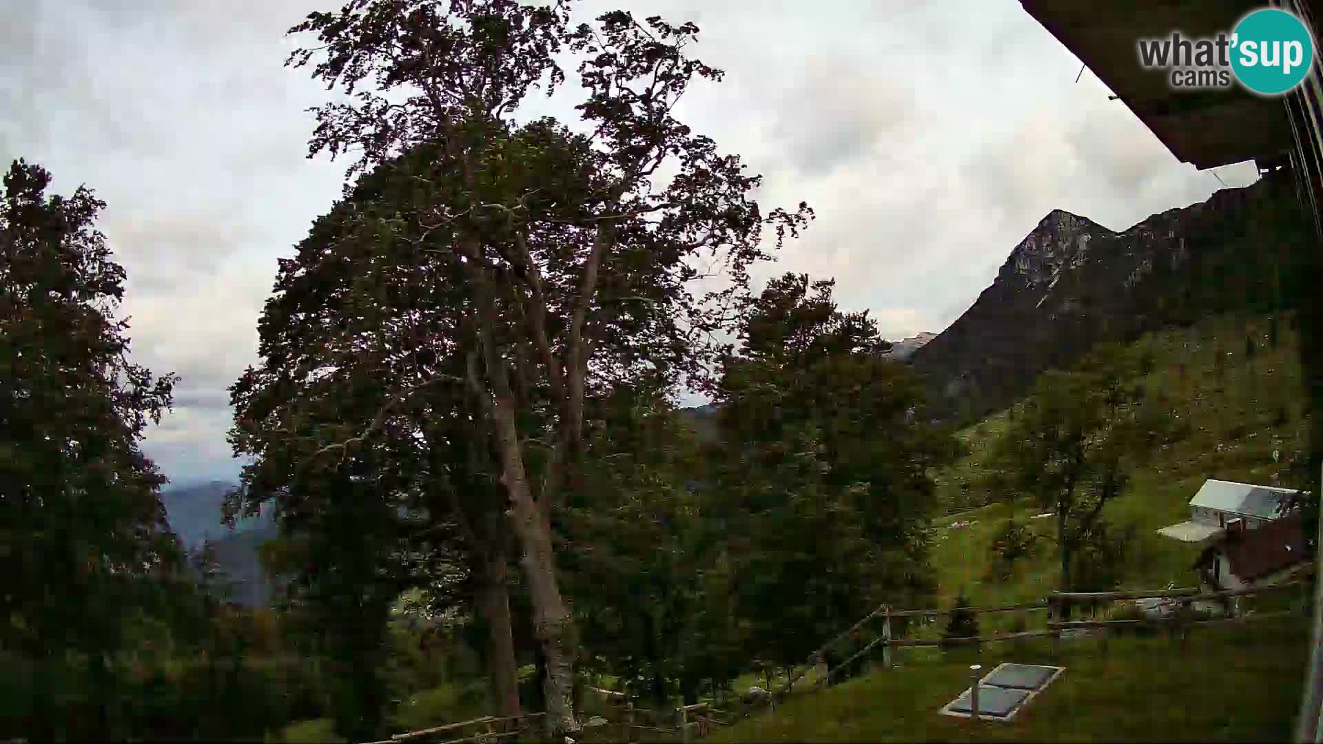 Cámara en vivo de la cabaña de montaña Planina Razor (1315) | vista hacia Tolminski Migovec