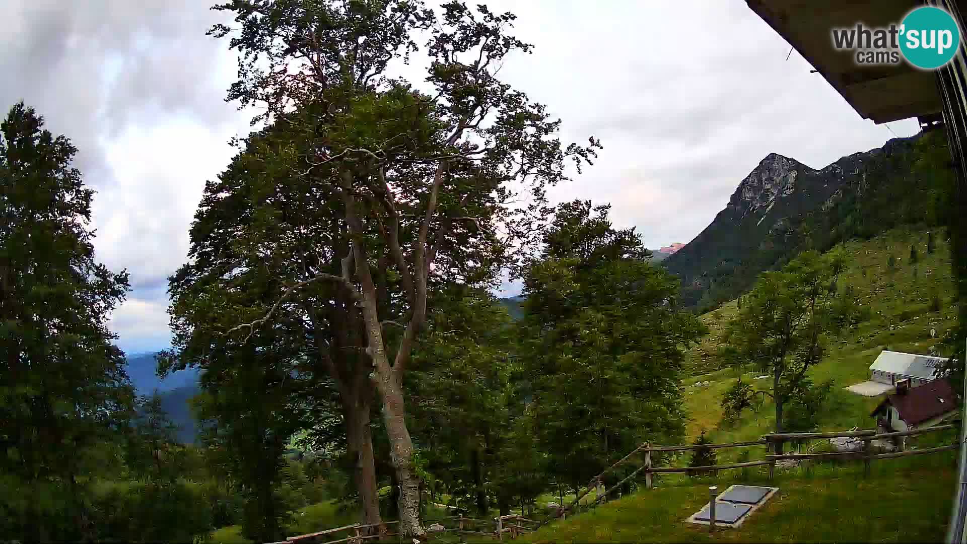 Baita di montagna Planina Razor webcam (1315) | vista su Tolminski Migovec